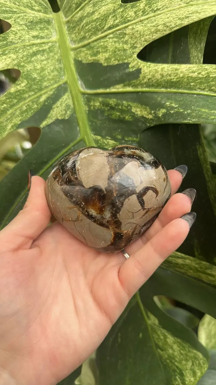 plant/PS-6265 Septarian carved Heart-1