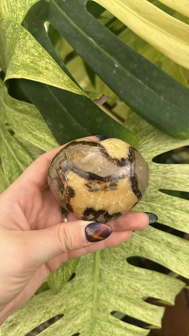plant/PS-6266 Septarian carved Heart-0