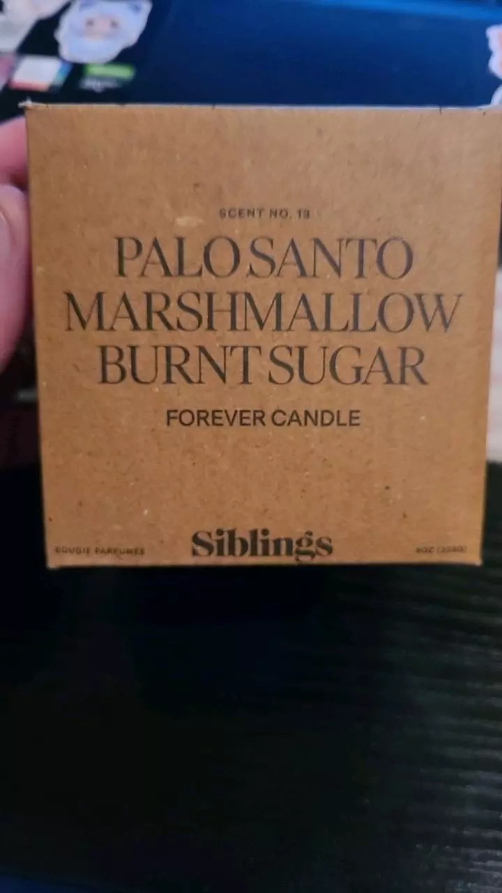 plant/candle (retails for $48)-0