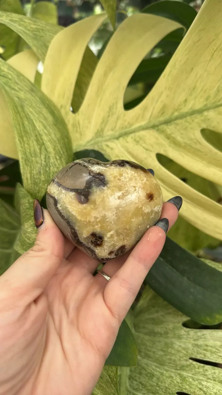 plant/PS-6268 Septarian carved Heart-0