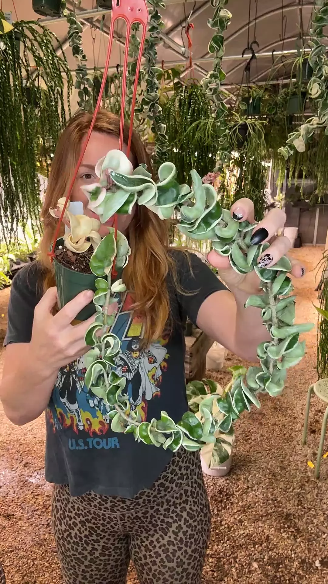 plant/PL484: XL Var Rope PRESALE ships 10/27-0