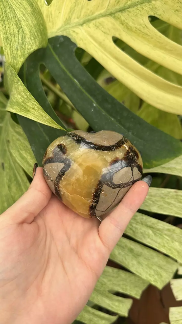 plant/PS-6269 Septarian carved Heart-0