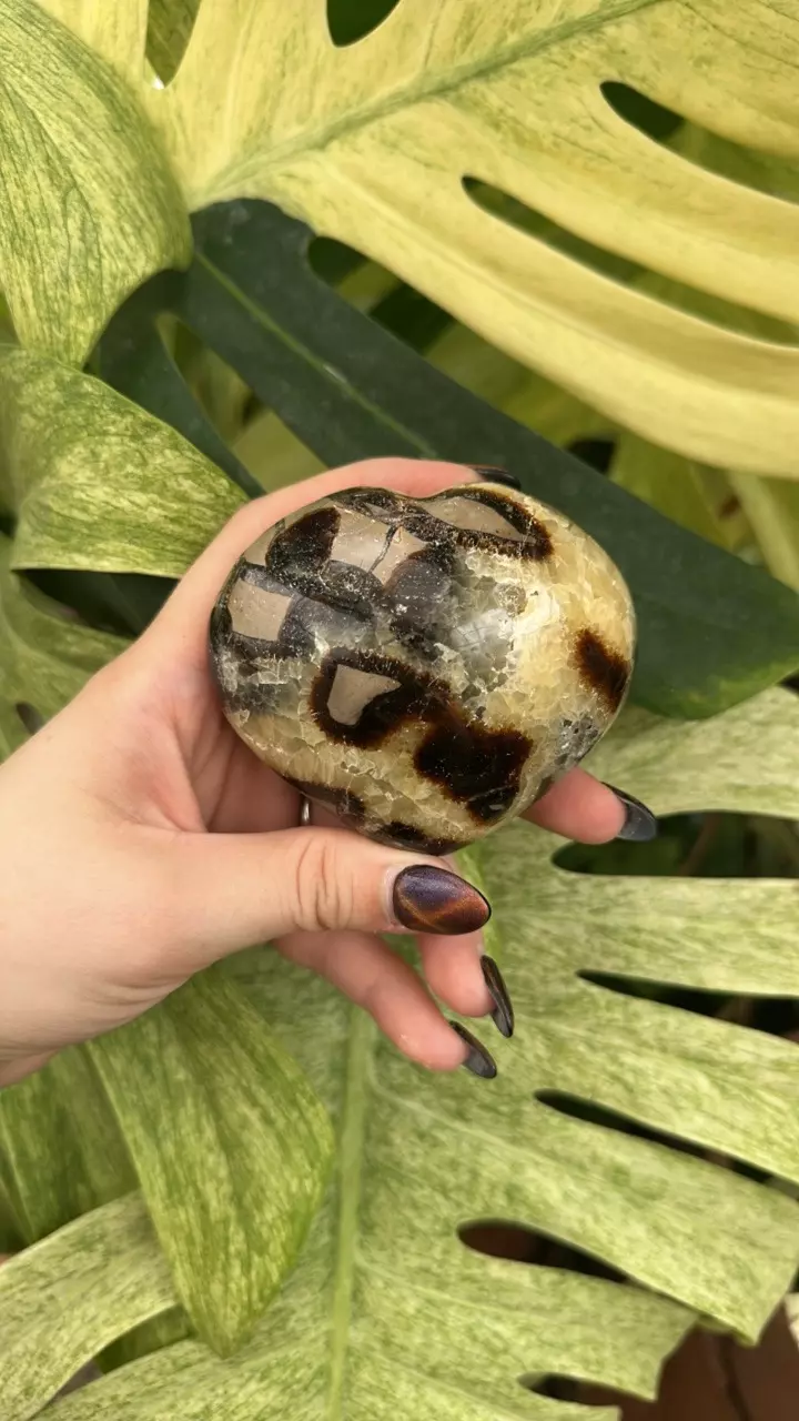 plant/PS-6270 Septarian carved Heart-0