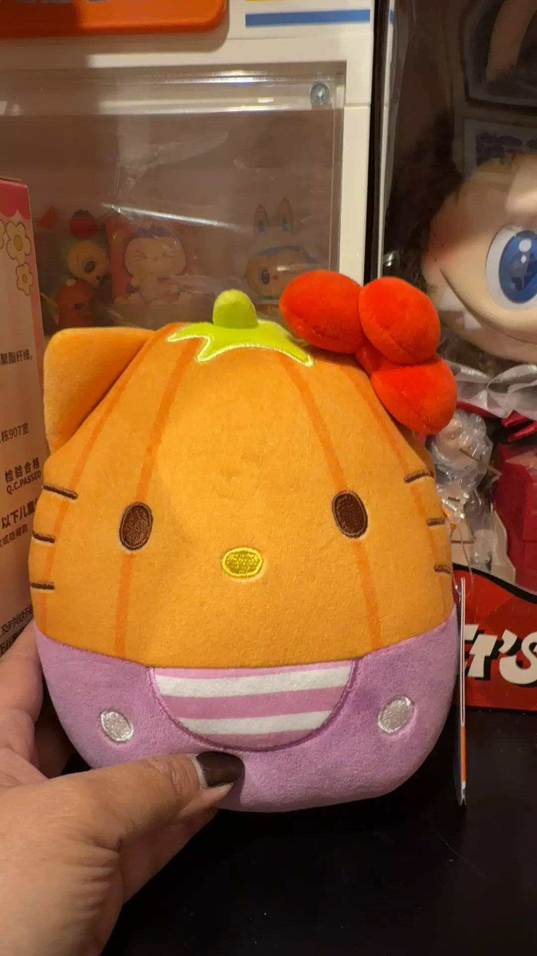 plant/HK squishmallow-0