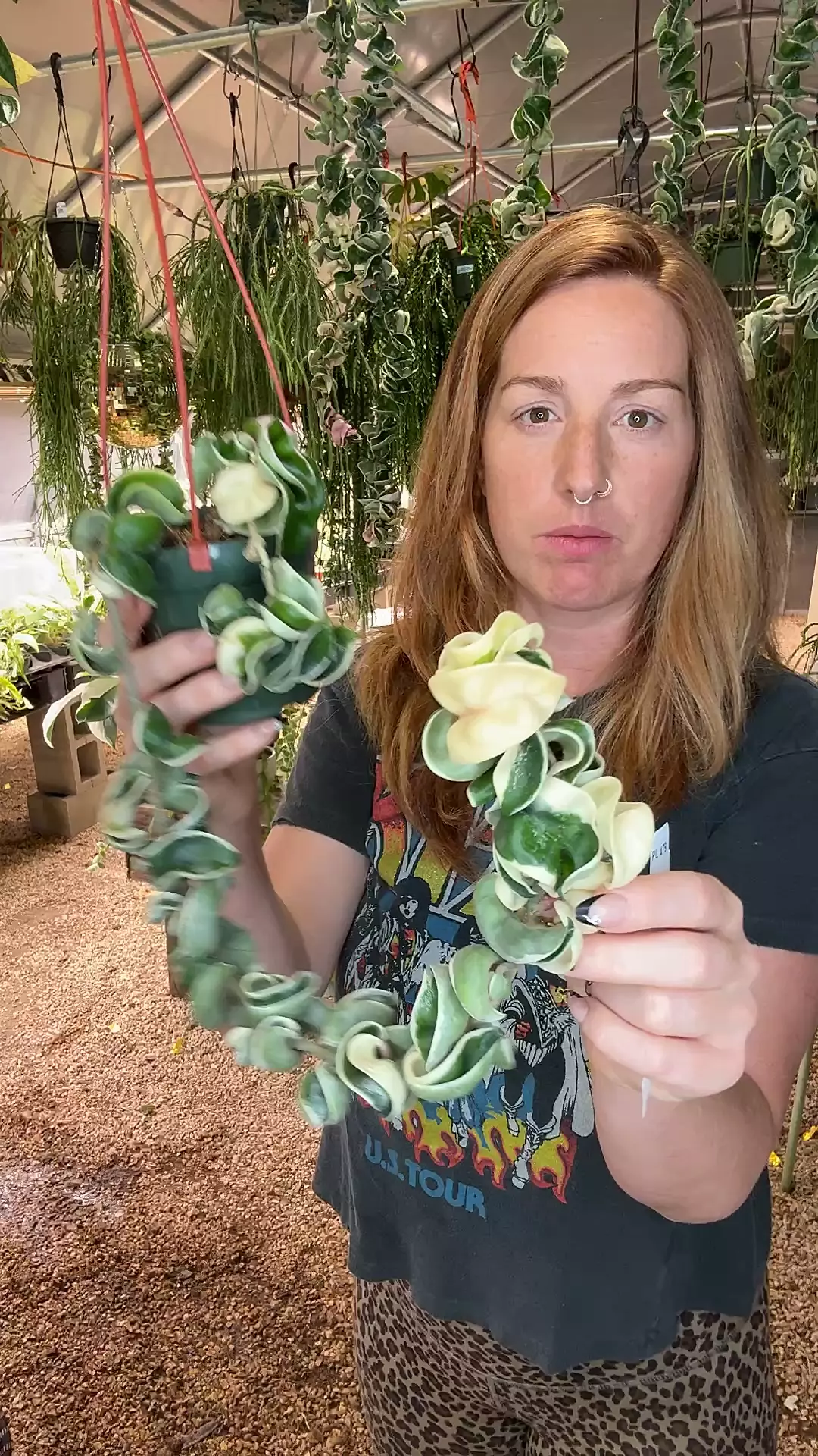 plant/PL479: XL Var Rope PRESALE ships 10/27-0
