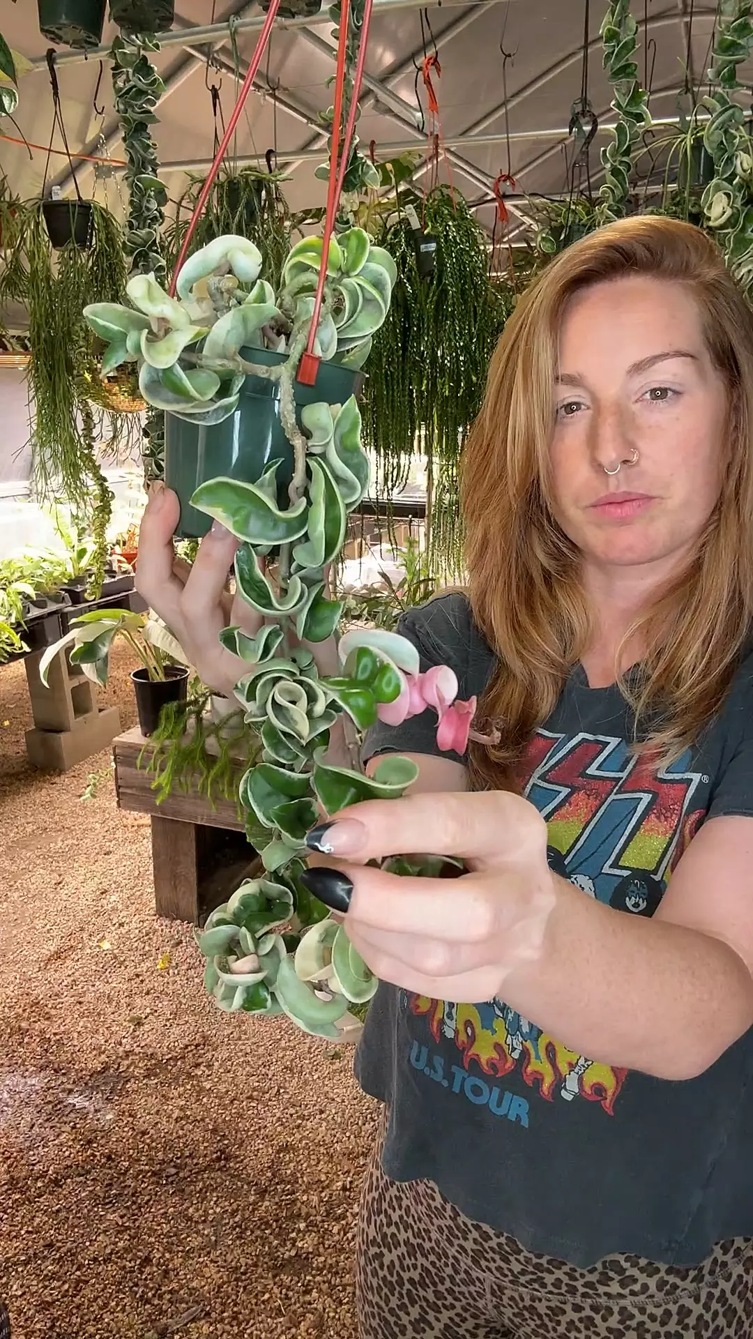 plant/PL482: XL Var Rope PRESALE ships 10/27-0