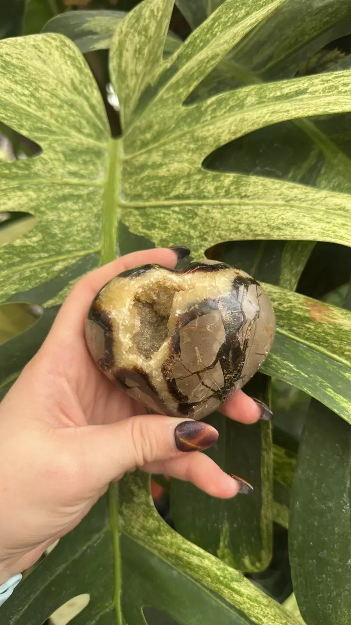 plant/PS-6265 Septarian carved Heart-0