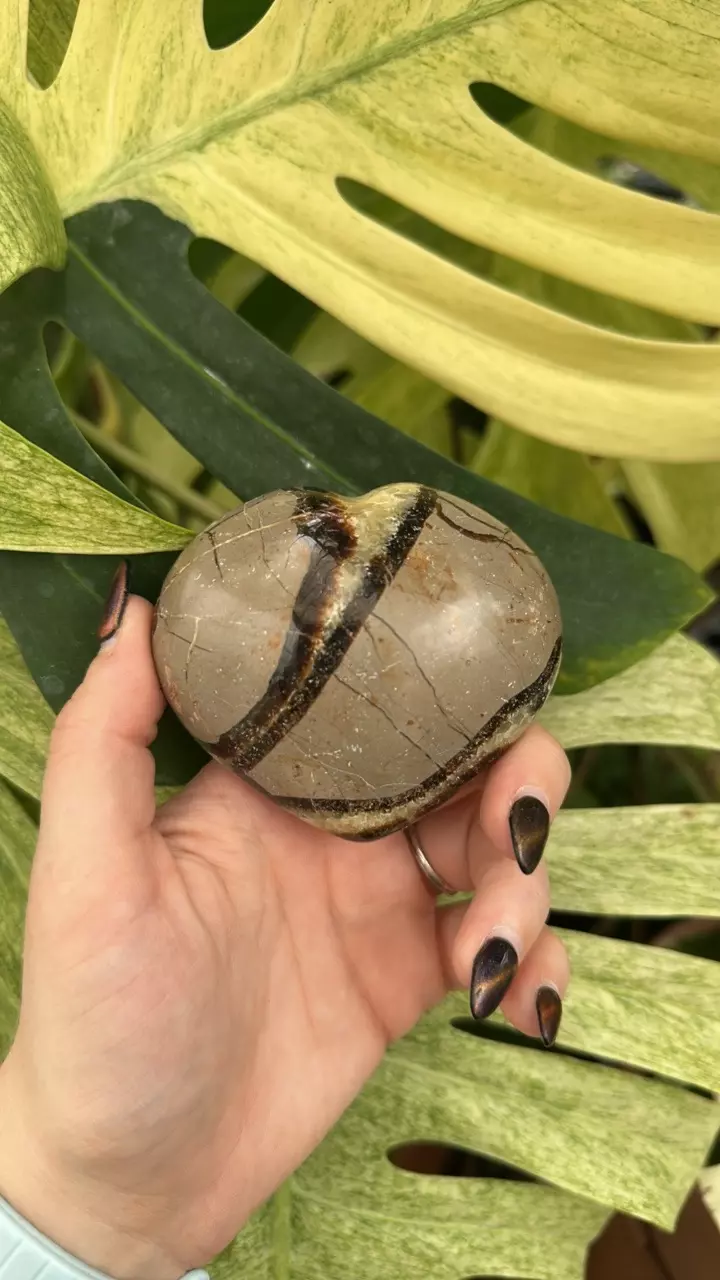 plant/PS-6270 Septarian carved Heart-1