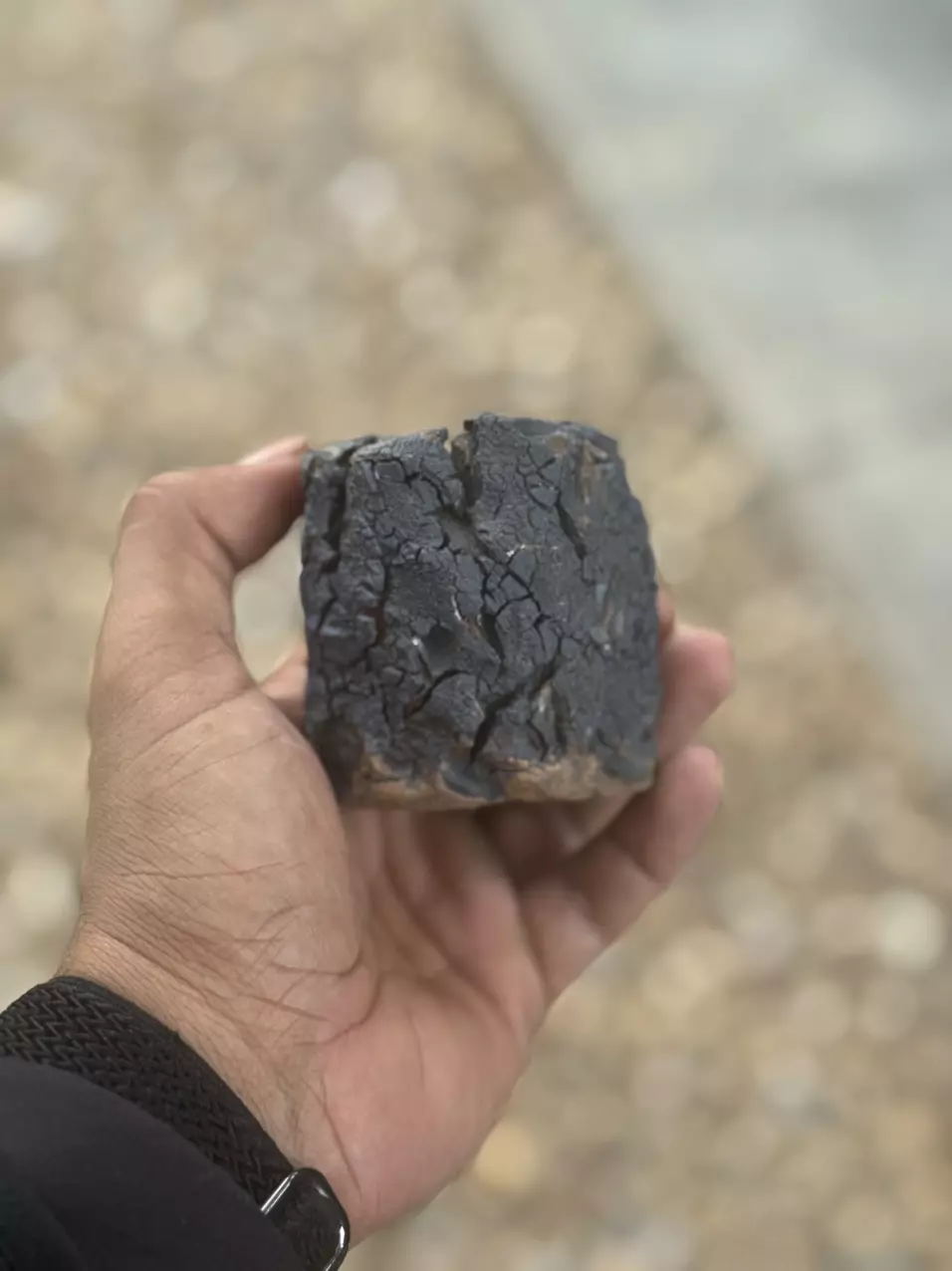 plant/Black Crackle 2.5x2.5-0