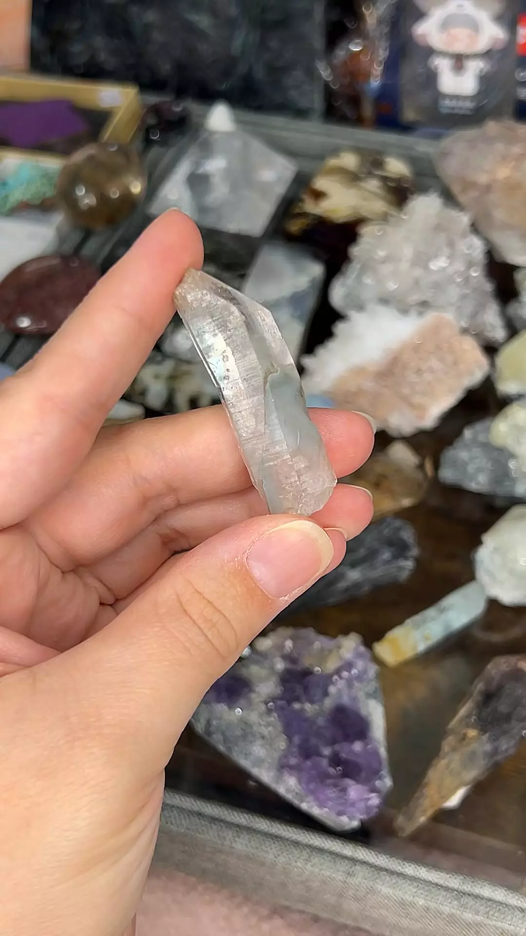 plant/Blue Tara Quartz-0