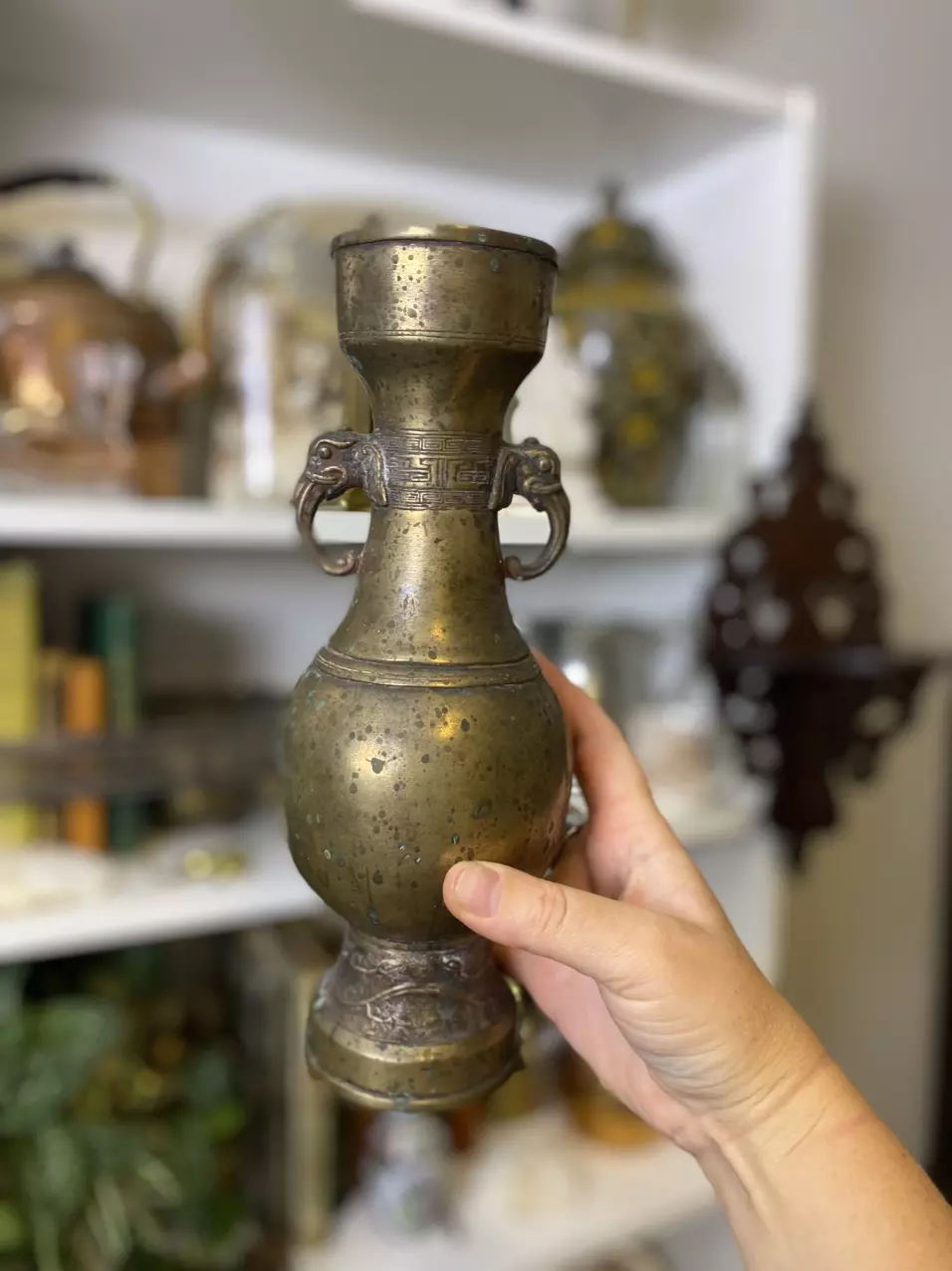 plant/brass vase with elephant detail-0