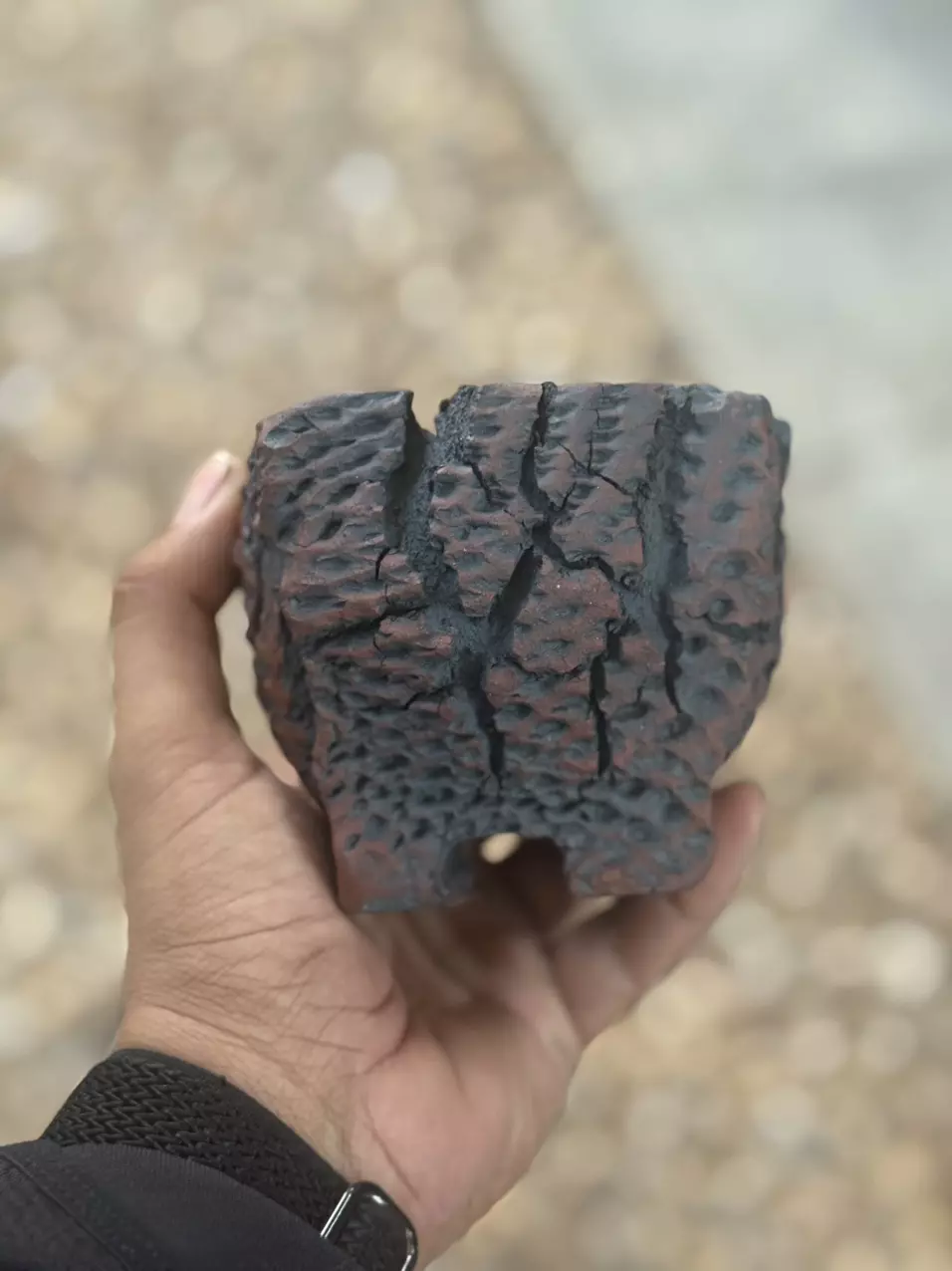 plant/Sedona Square Footed 4x3.5H-0