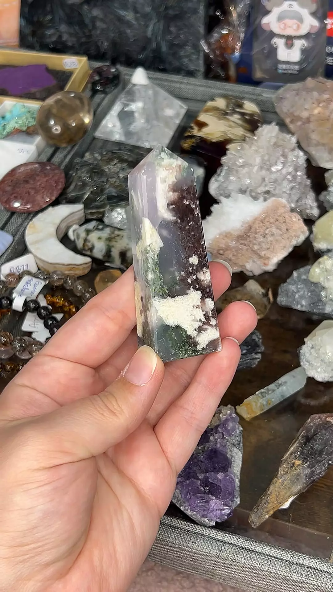plant/Watermelon Tourmaline Brazil-0