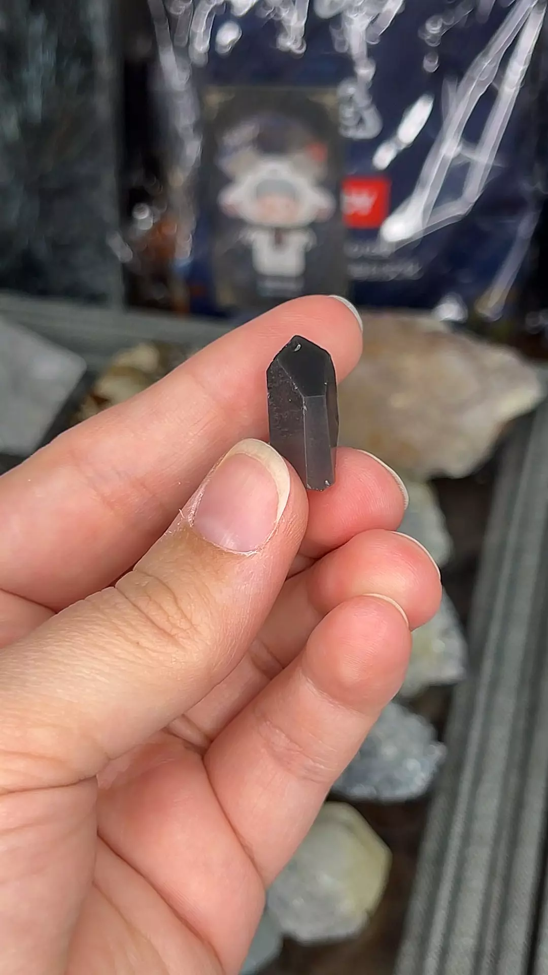 plant/Black Phantom Quartz (Anthraxolite)-0