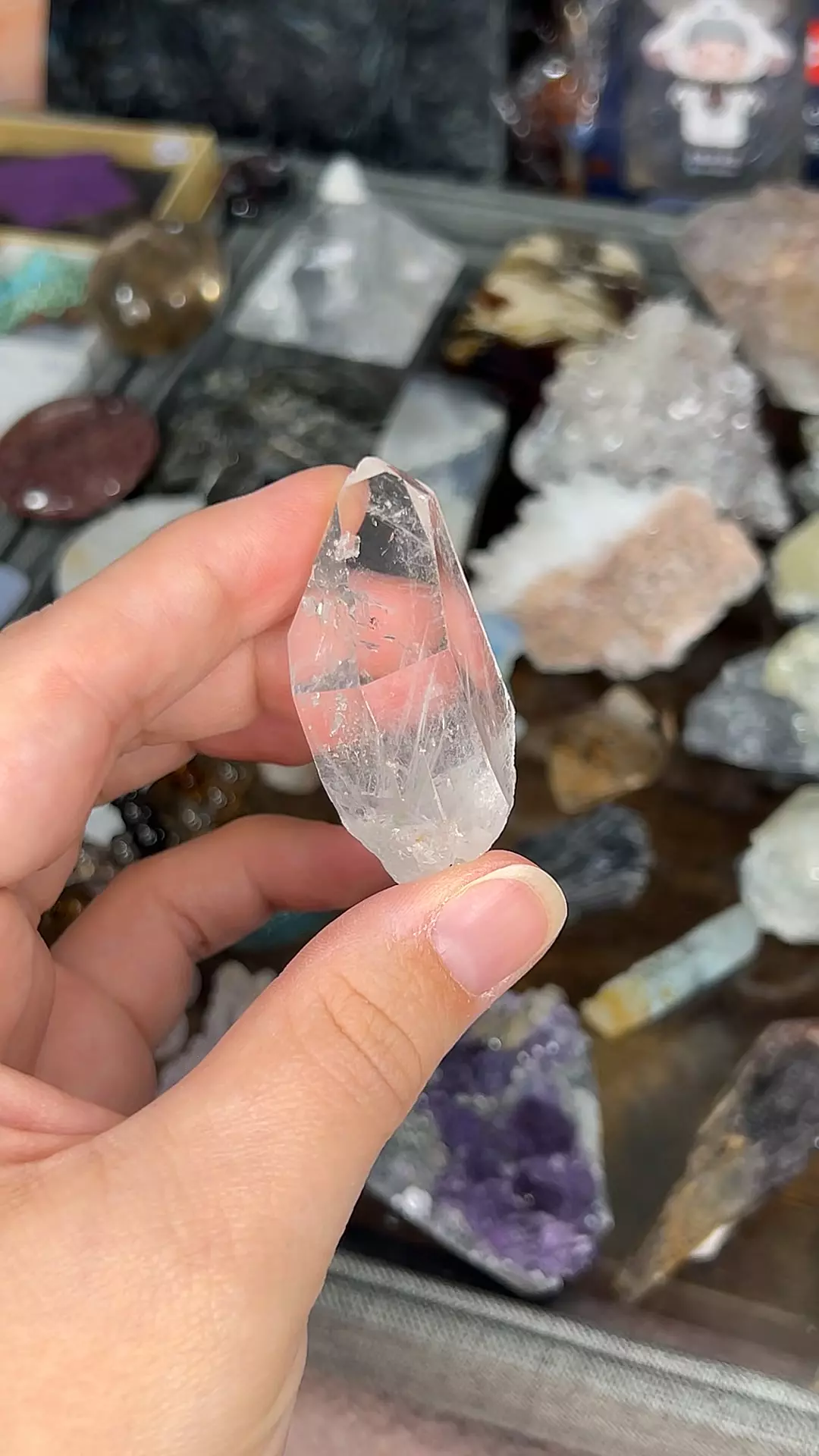 plant/Blue Tara Quartz-0