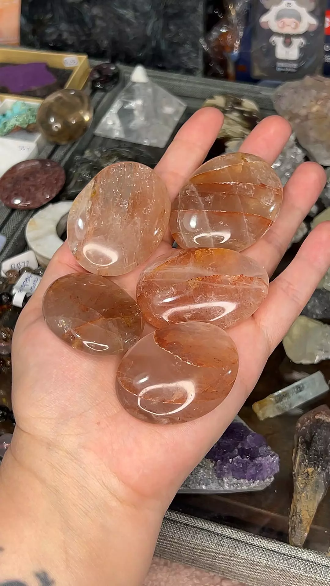 plant/Fire Quartz Palm (intuitive pick of ONE)-0