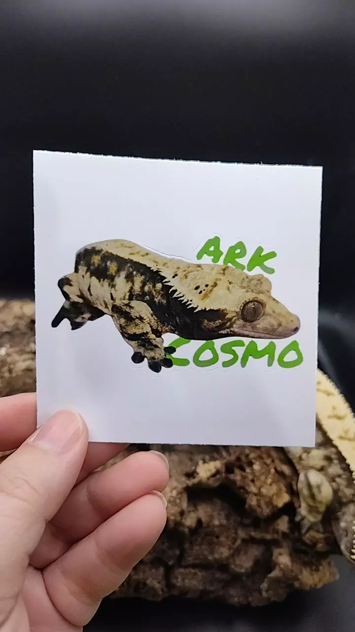 plant/Cosmo Sticker-0