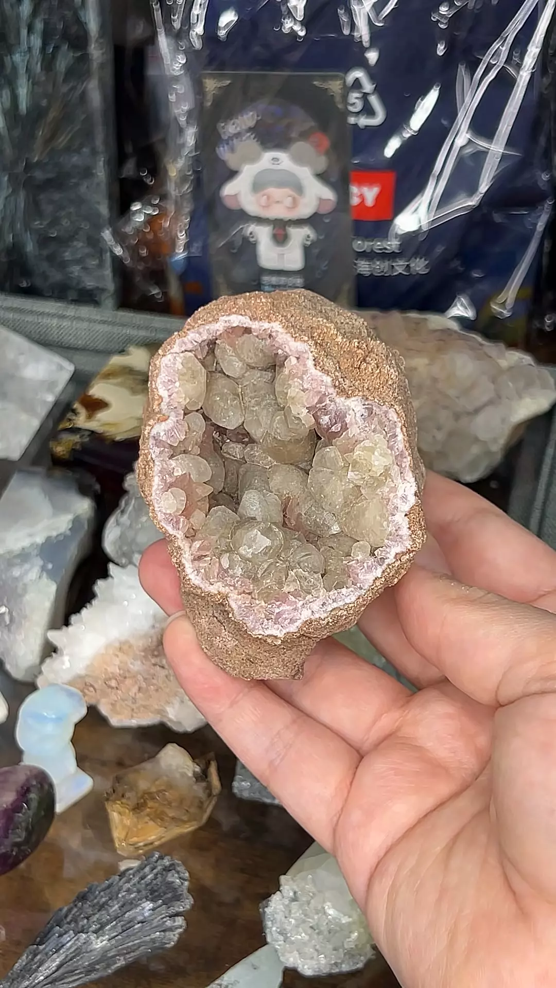 plant/Pink Amethyst x Calcite-0