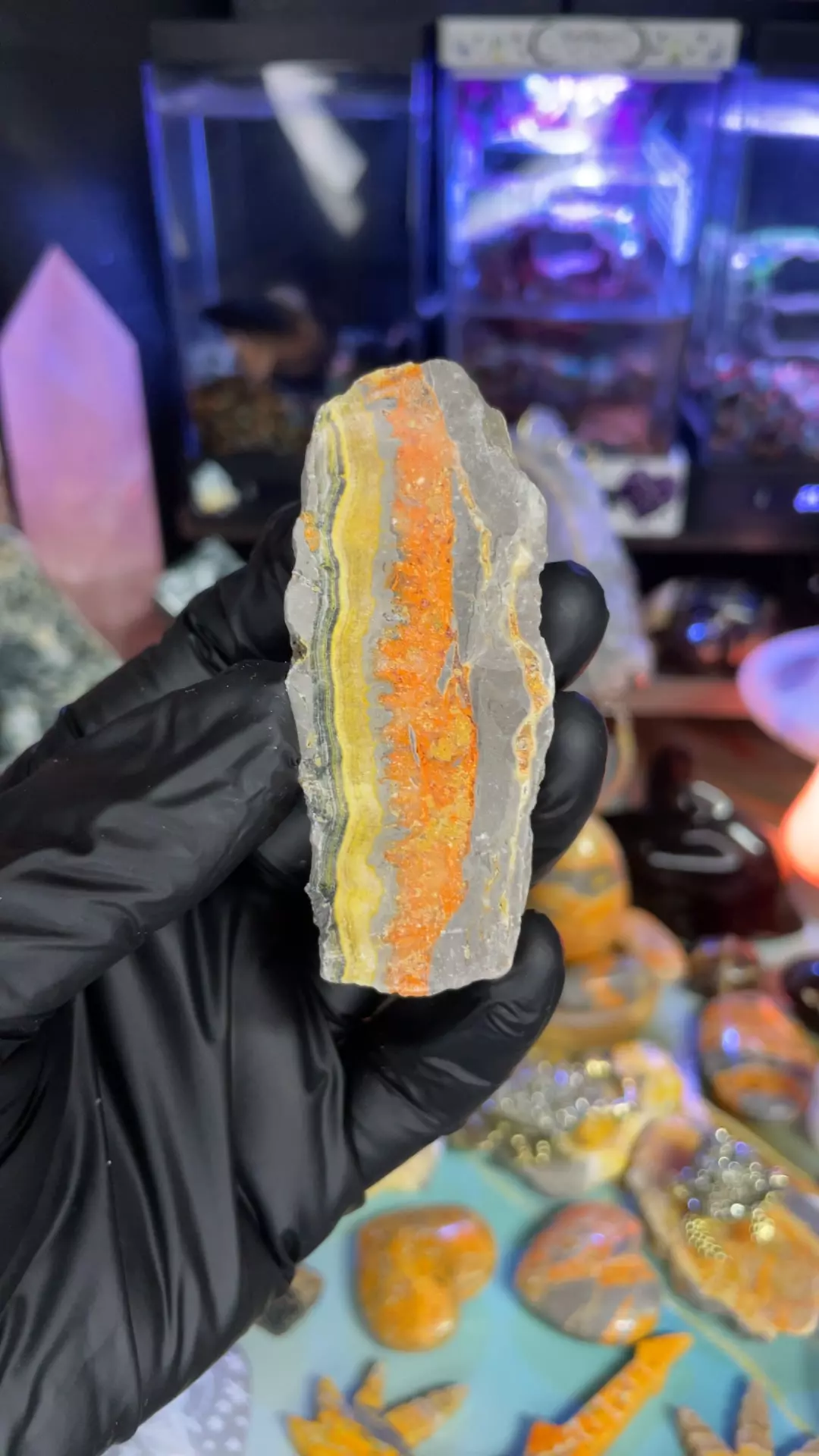 plant/Bumblebee Jasper Slab #2-0