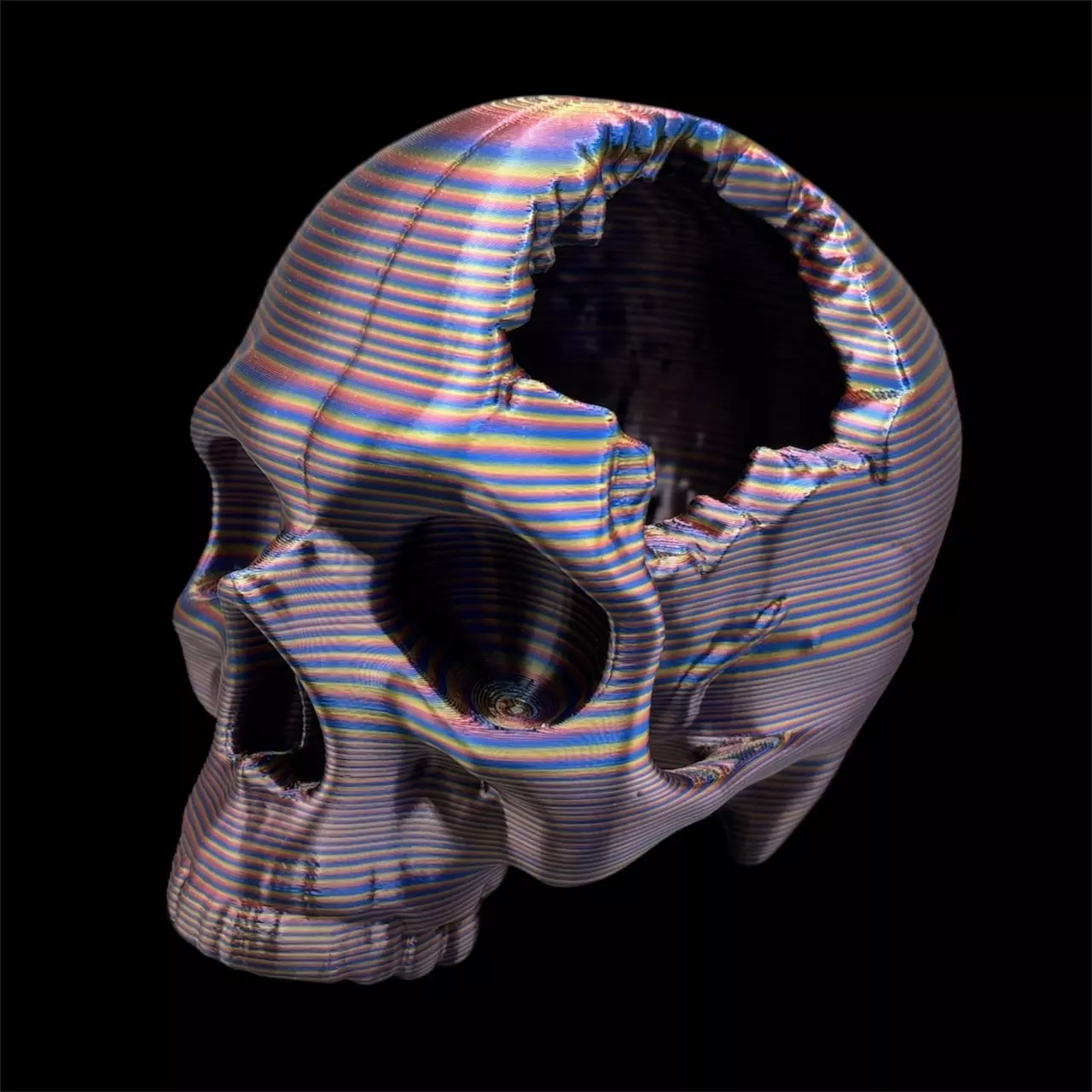 plant/Large Trippy Skull-0
