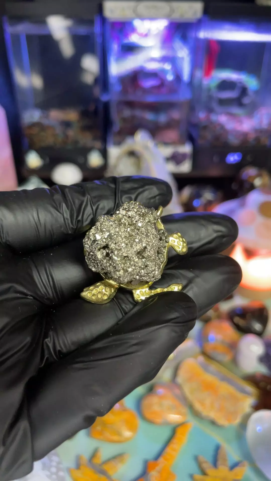plant/Pyrite Turtle-0