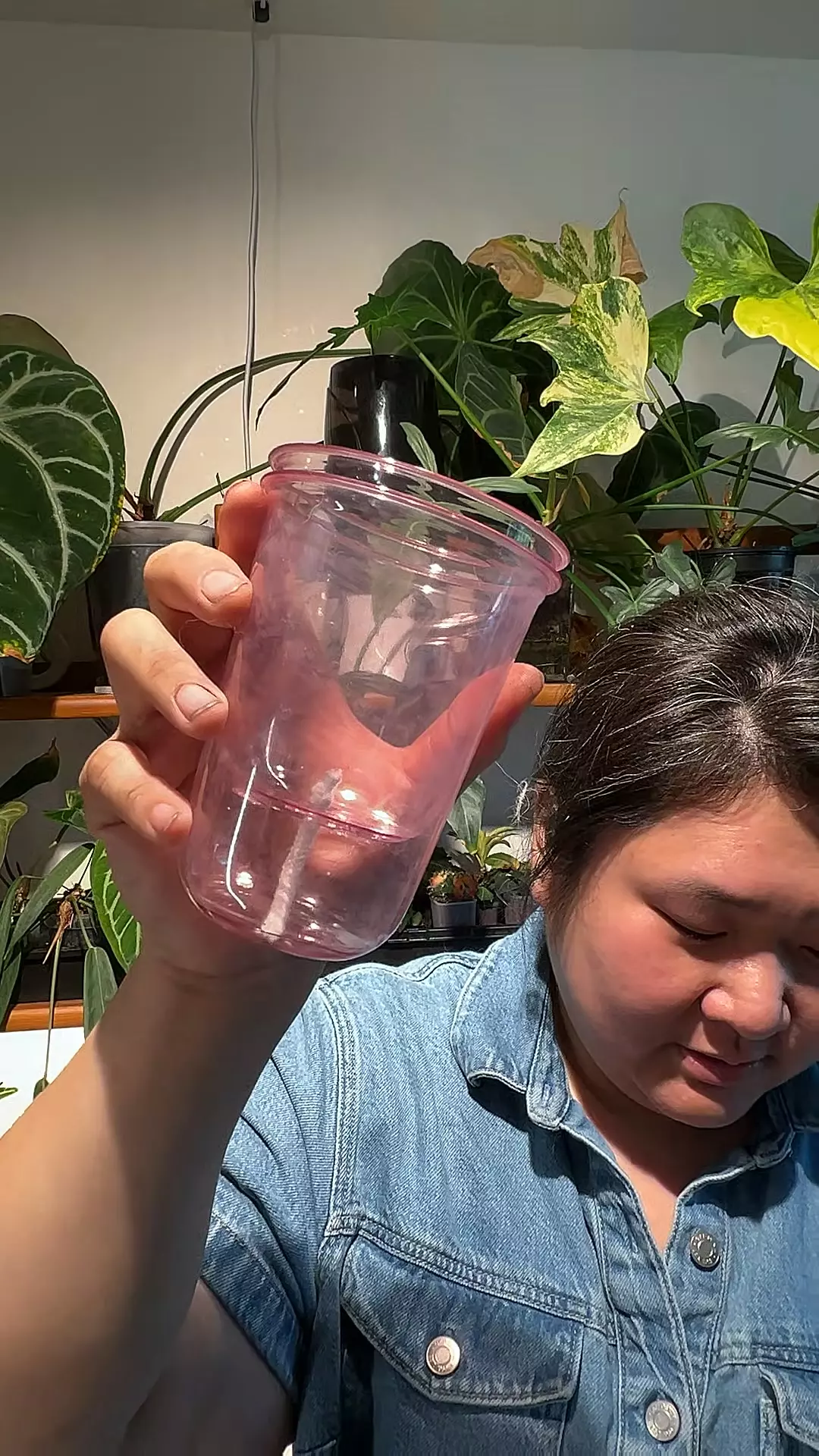 plant/Set of 5 pink self watering cup-0