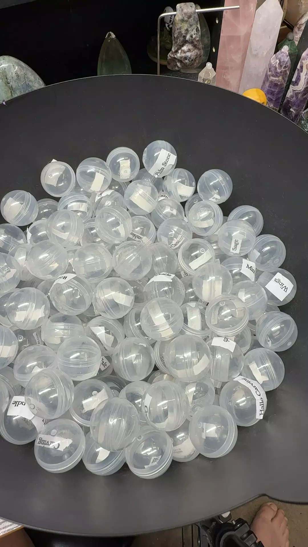 plant/metaphysical scoop-0