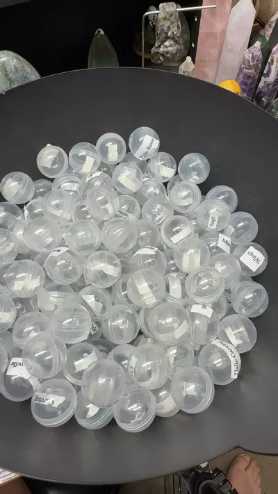 plant/metaphysical scoop-0-thumbnail