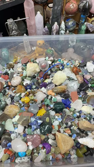 plant/confetti-0-thumbnail