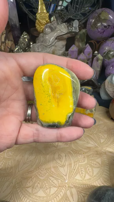 plant/Bumblebee Jasper Freeform 20G-0-thumbnail