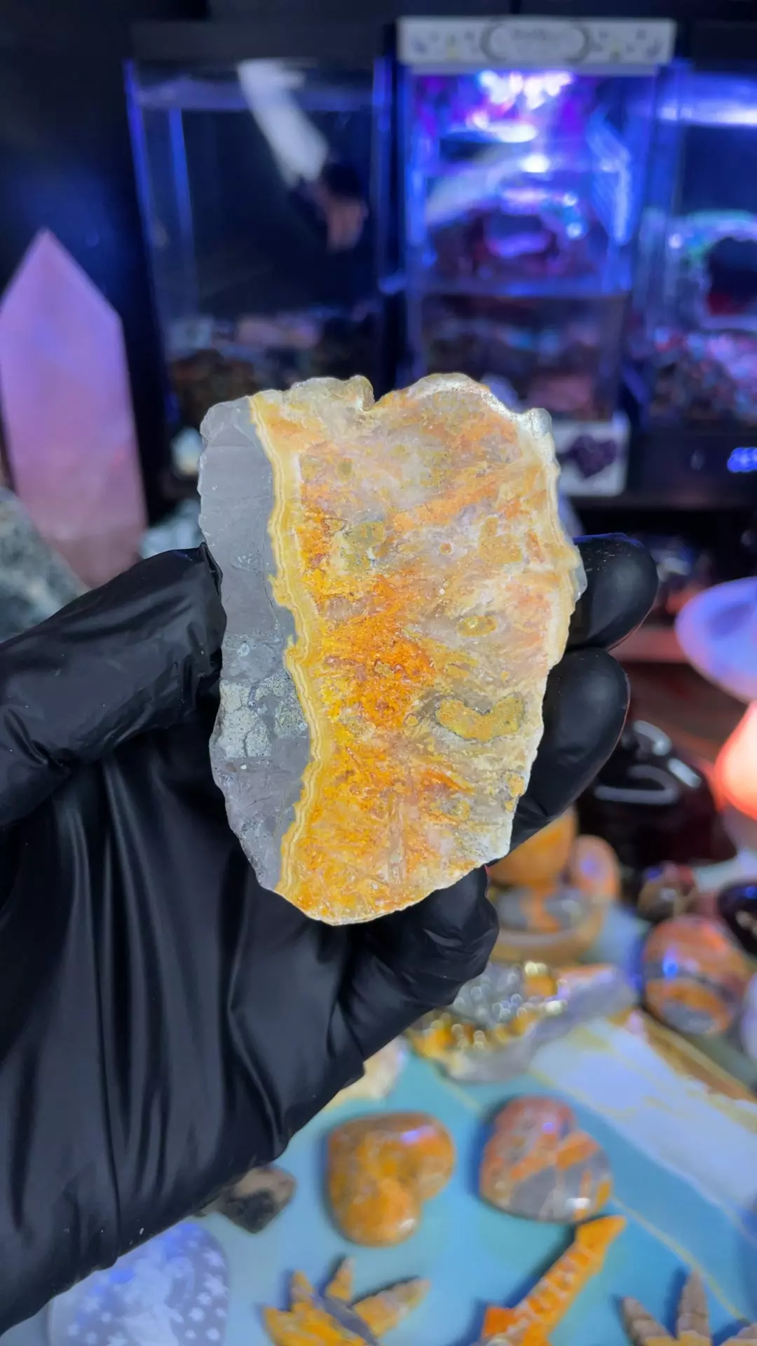 plant/Bumblebee Jasper Slab #3-0