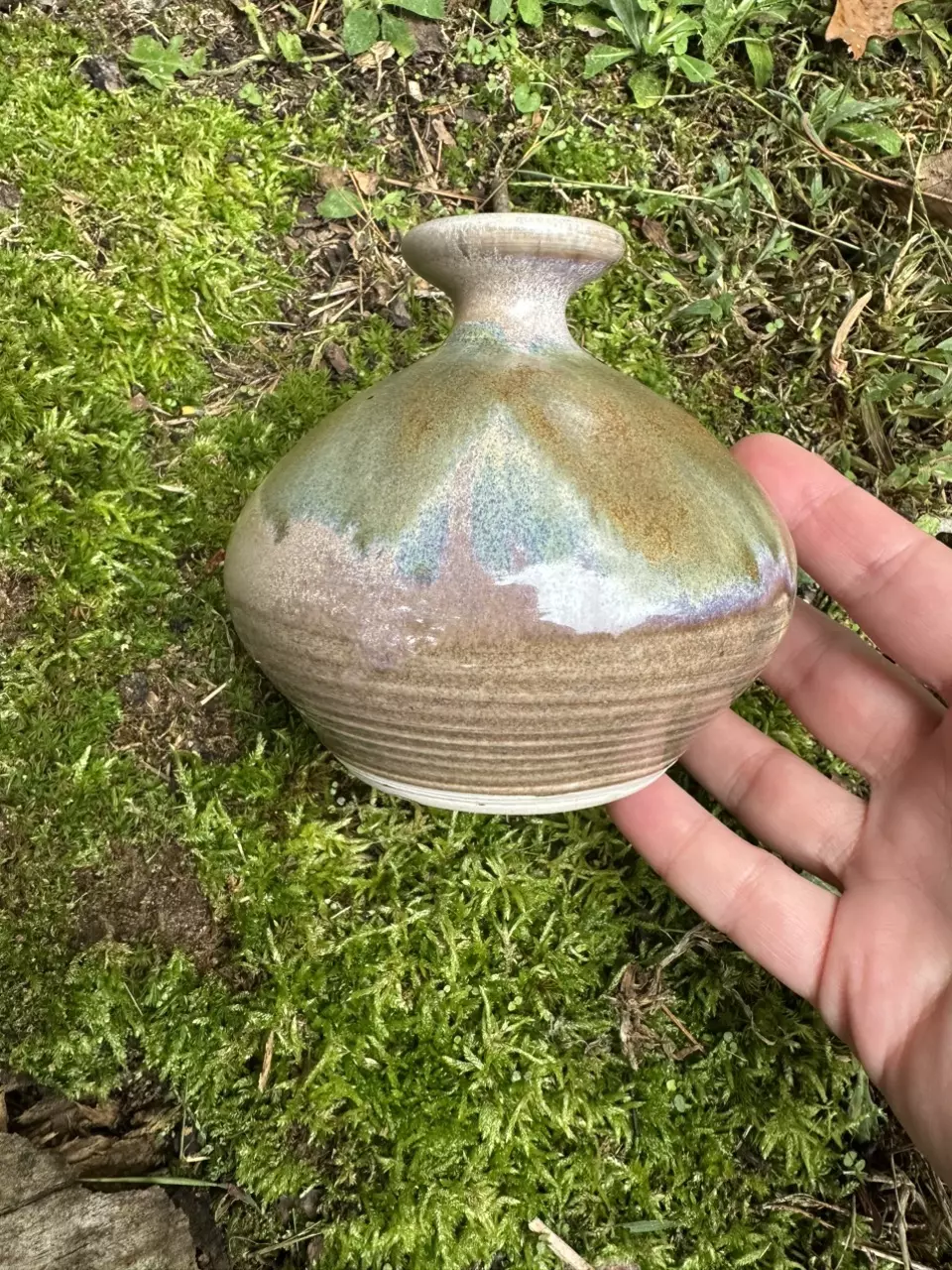 plant/Small Pottery Vase-1