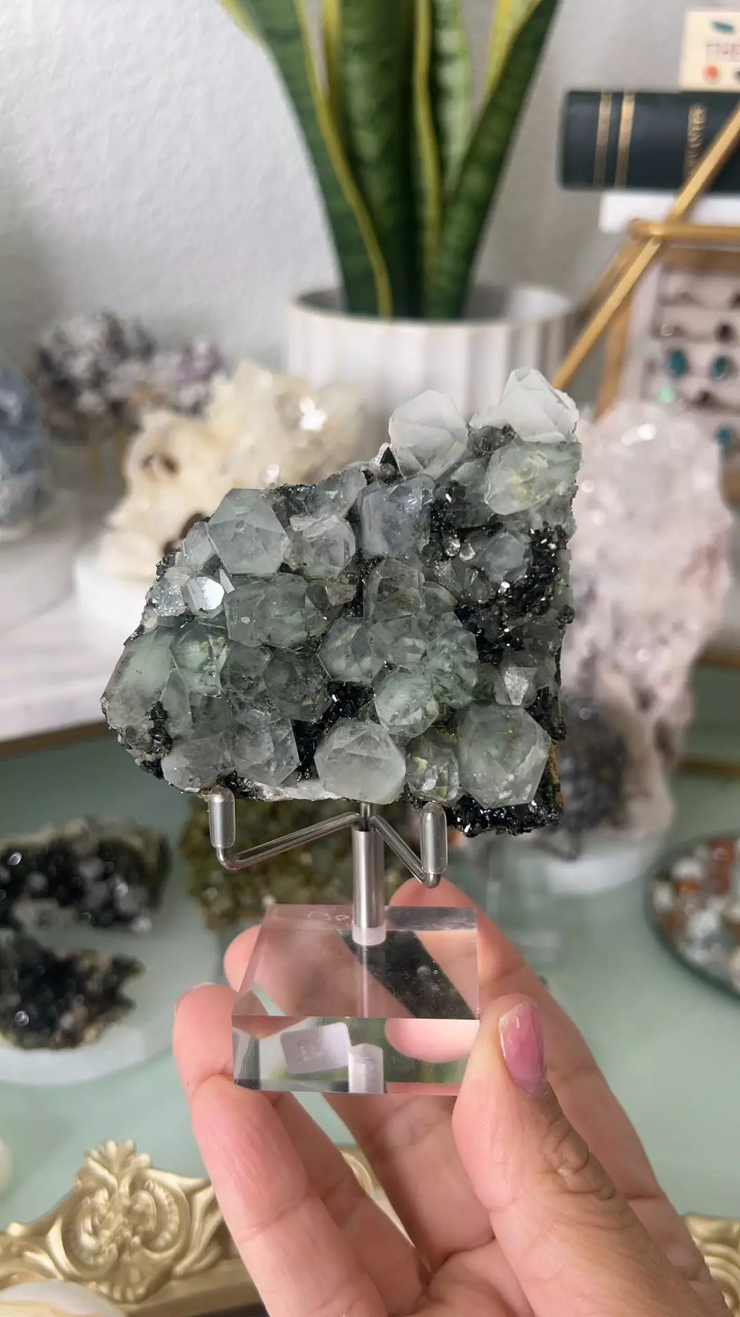 plant/Turkish Epidote Quartz Hakkari $194M-0