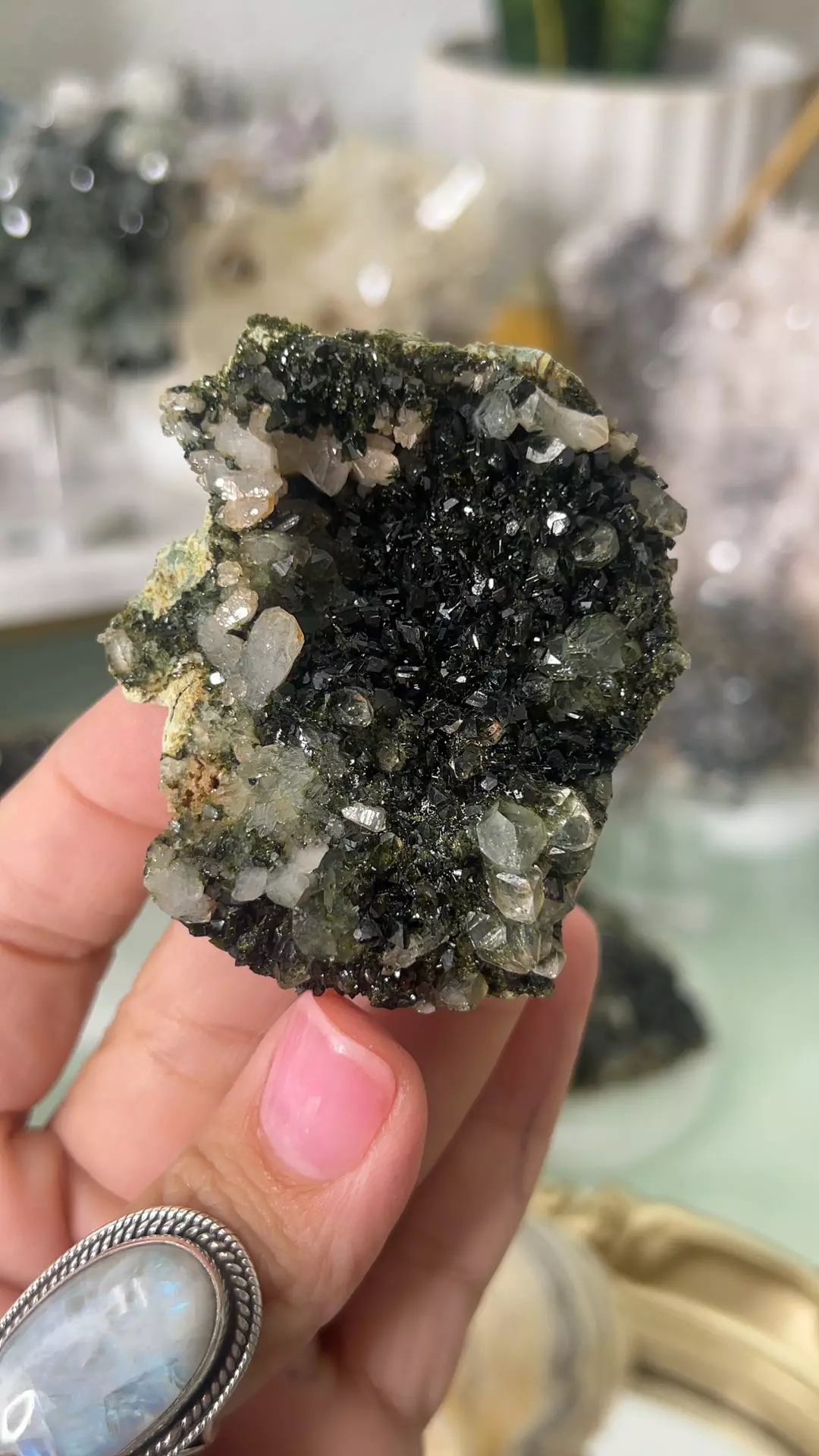 plant/Turkish Epidote Quartz Specimen $56K-0