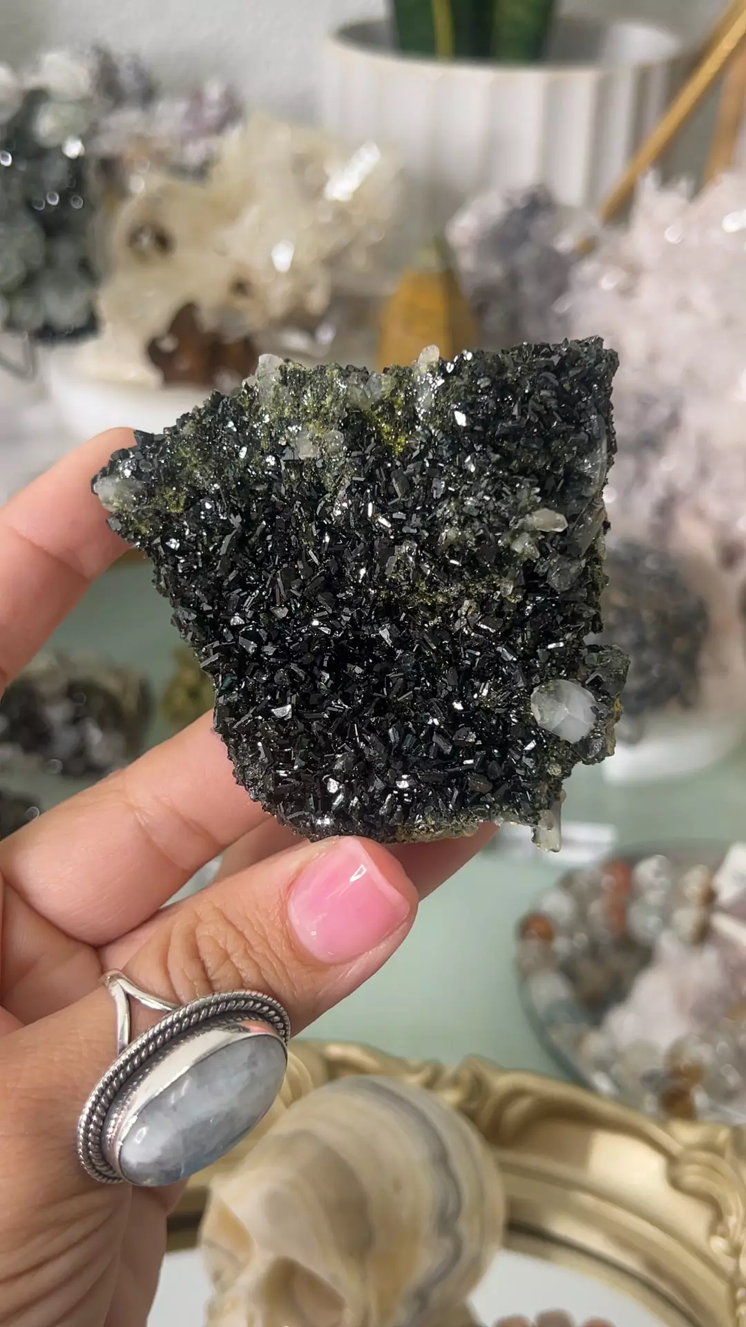 plant/Epidote w Quartz hakkari turkey $154M-0