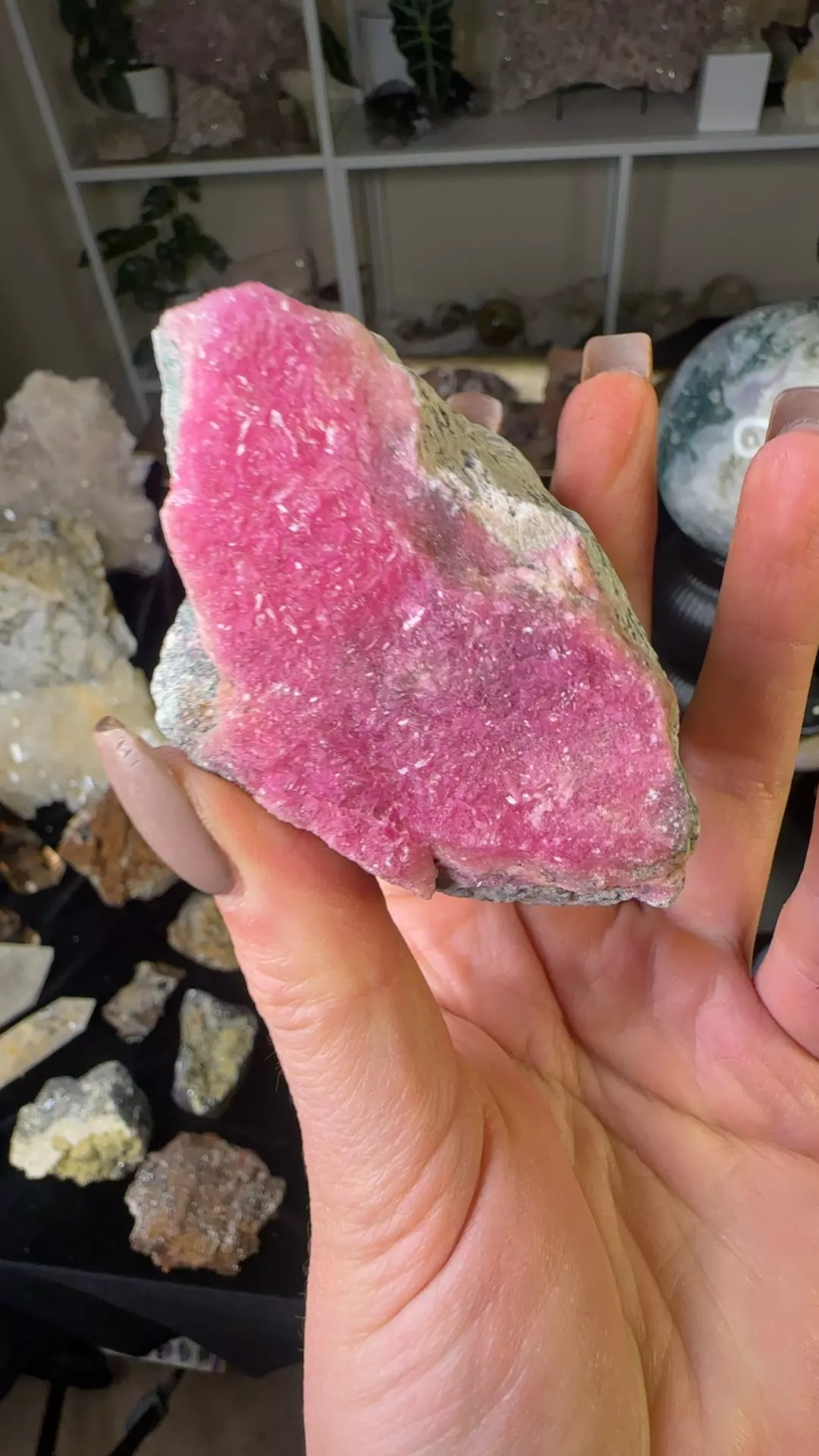 plant/Hq pink cobalto calcite-0