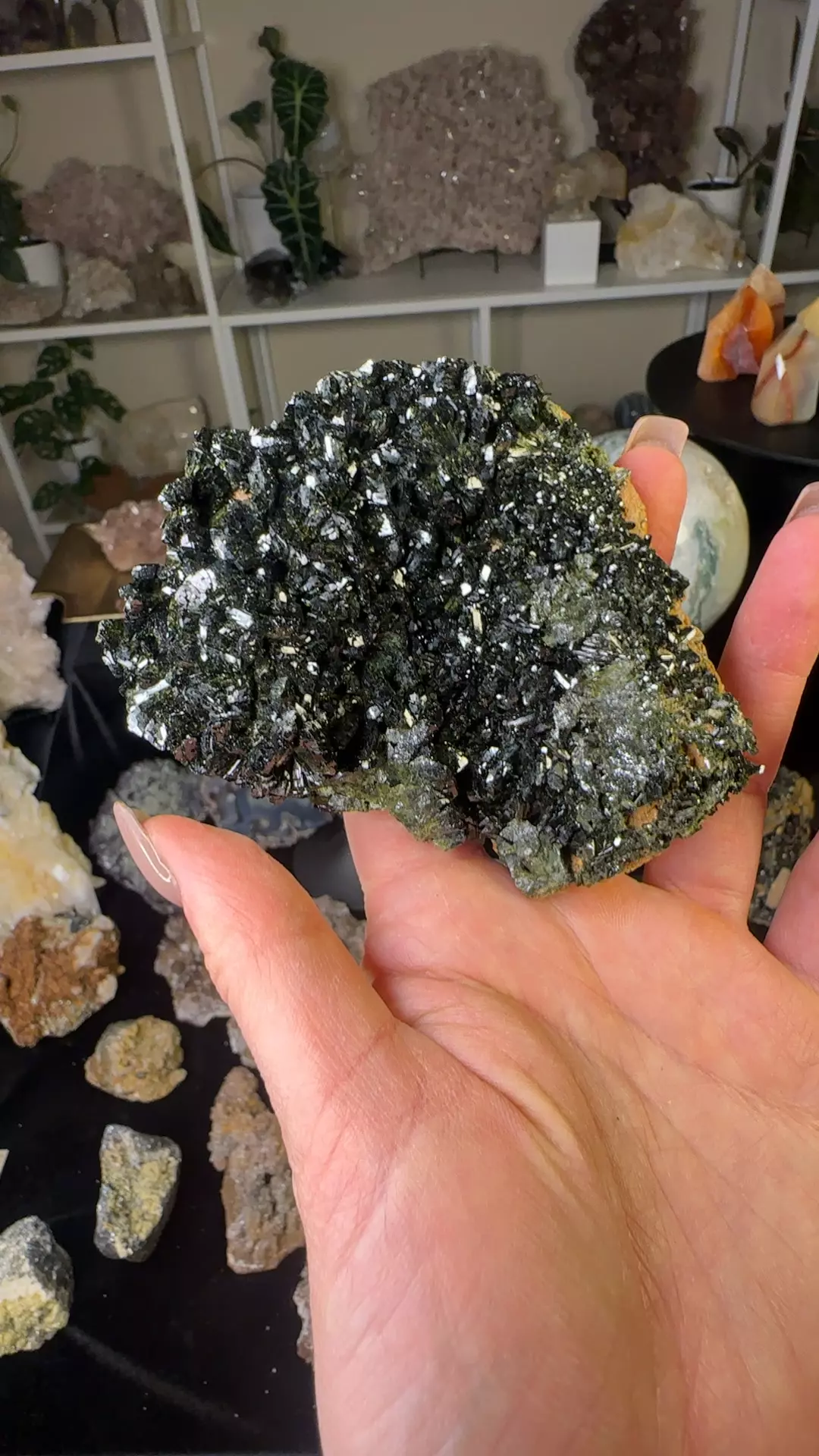 plant/AAA epidote turkey-0