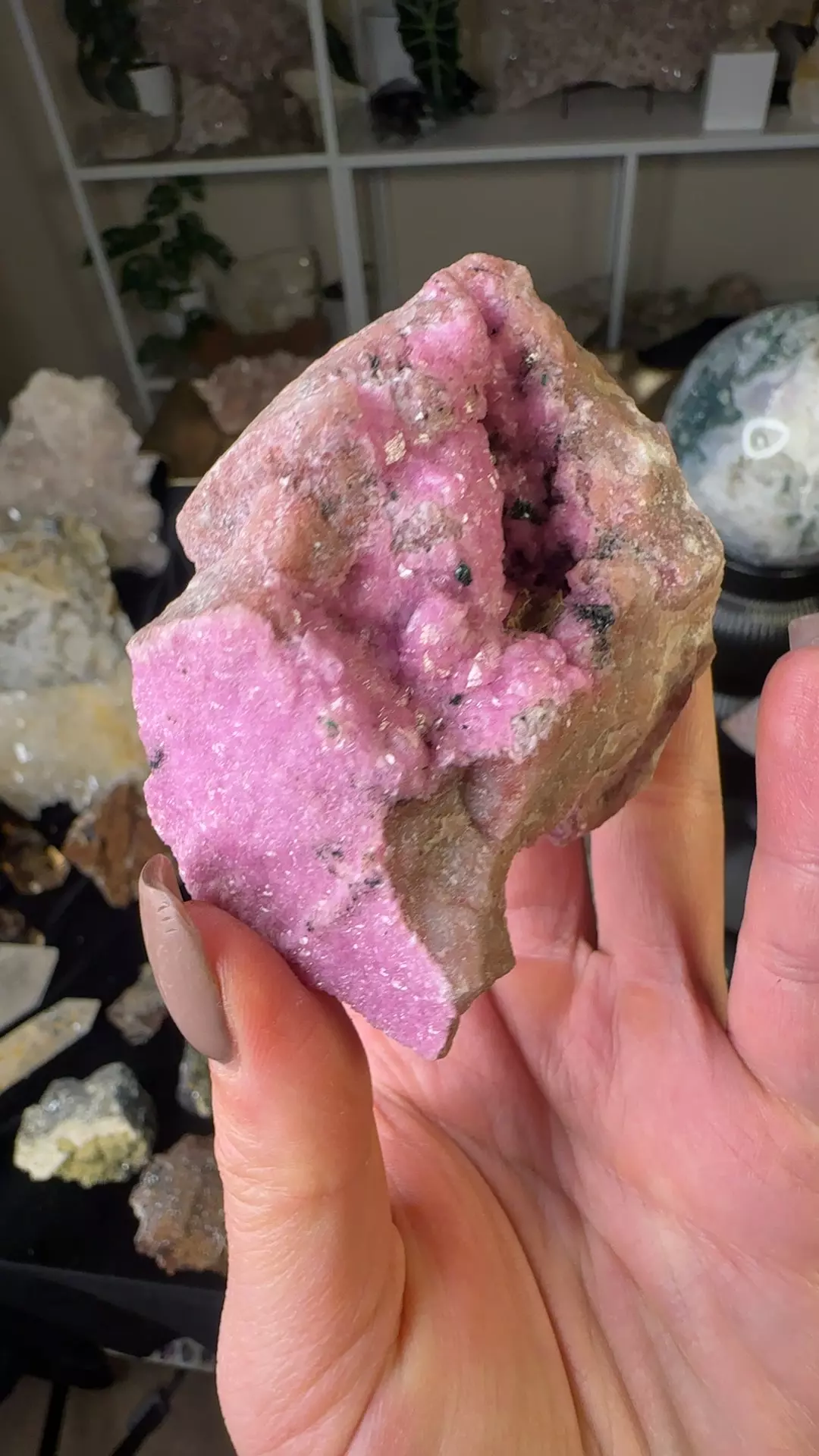 plant/Hq pink cobalto calcite-0
