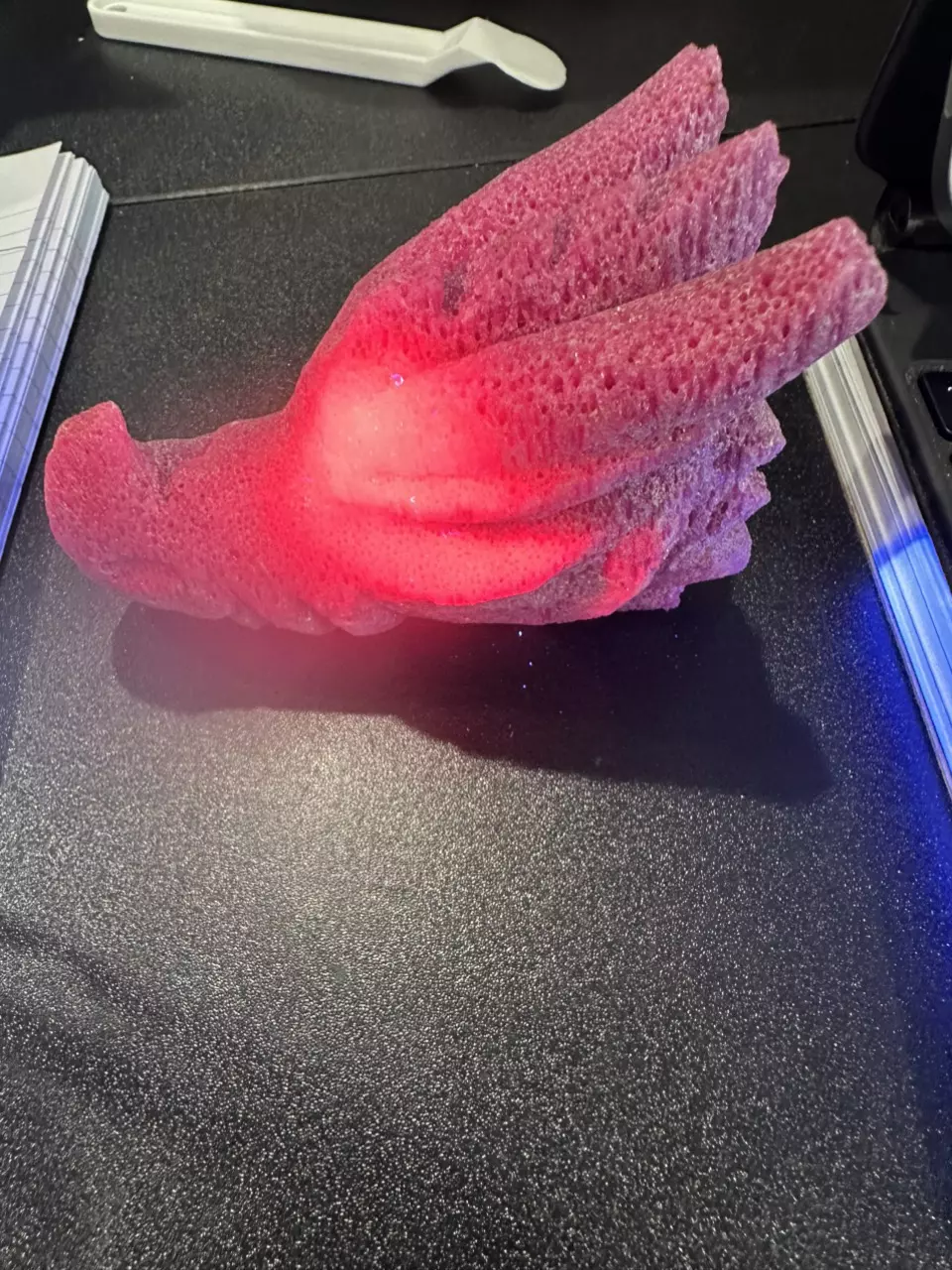 plant/Honeycomb Ruby Dragon Skull-0