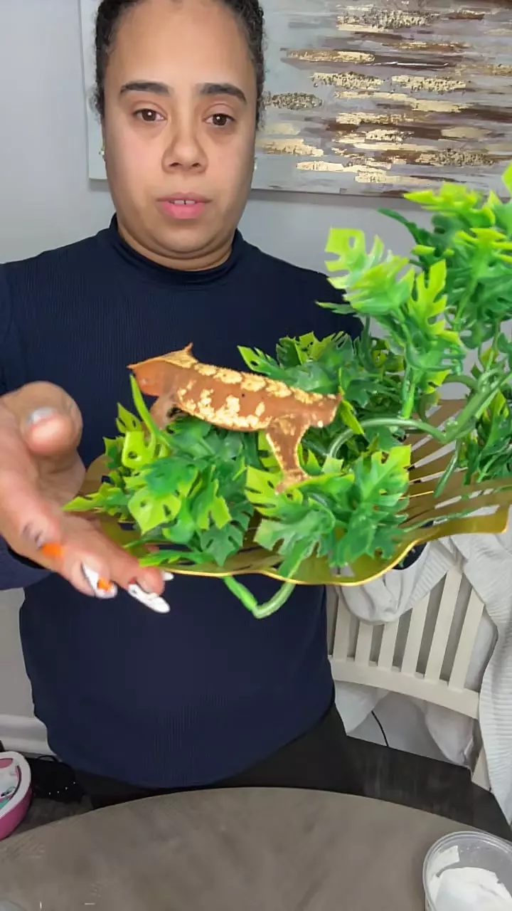 plant/Adult male-0