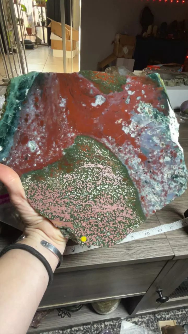 plant/Rainbow Veinless OJ Slab-0
