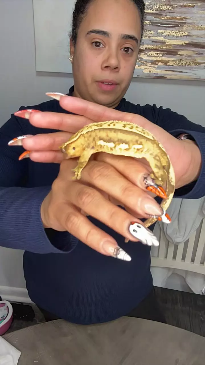 plant/phantom stripe adult female-0
