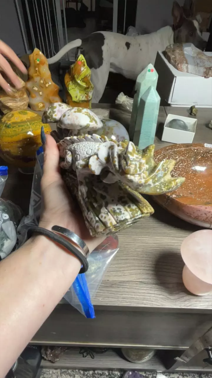 plant/2nd Vein Jelly OJ Frilled lizard-0