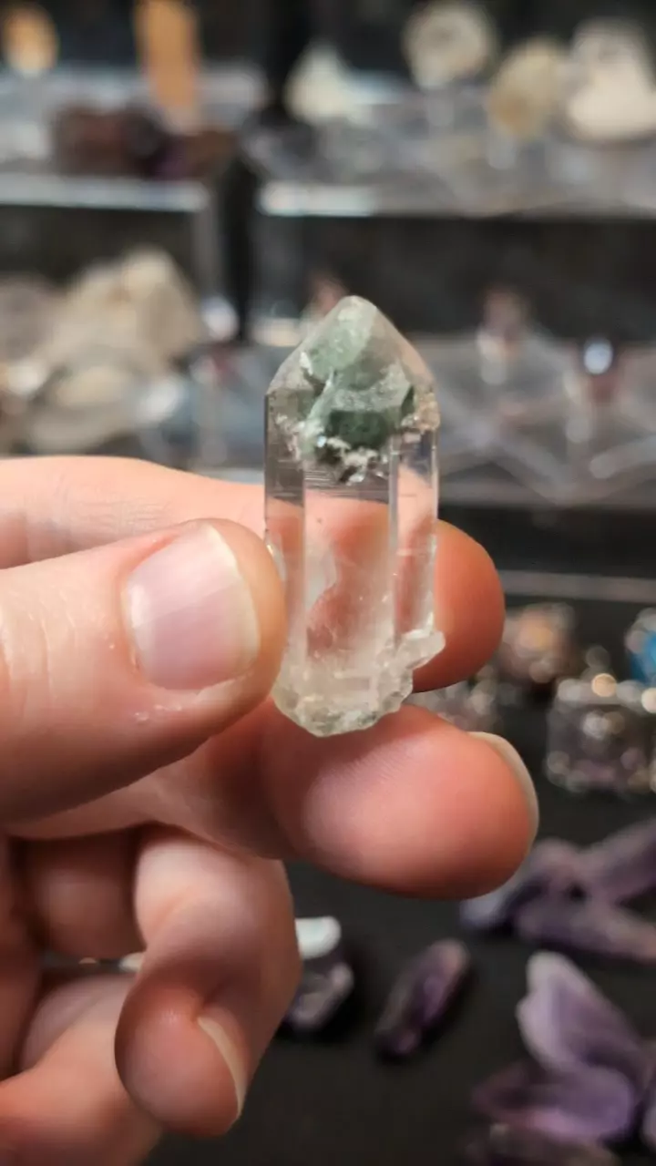 plant/Himalayan Quartz e-0