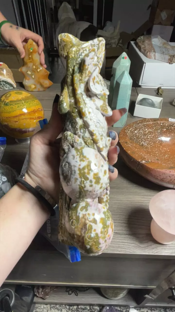 plant/2nd Vein Jelly OJ Frilled lizard-3