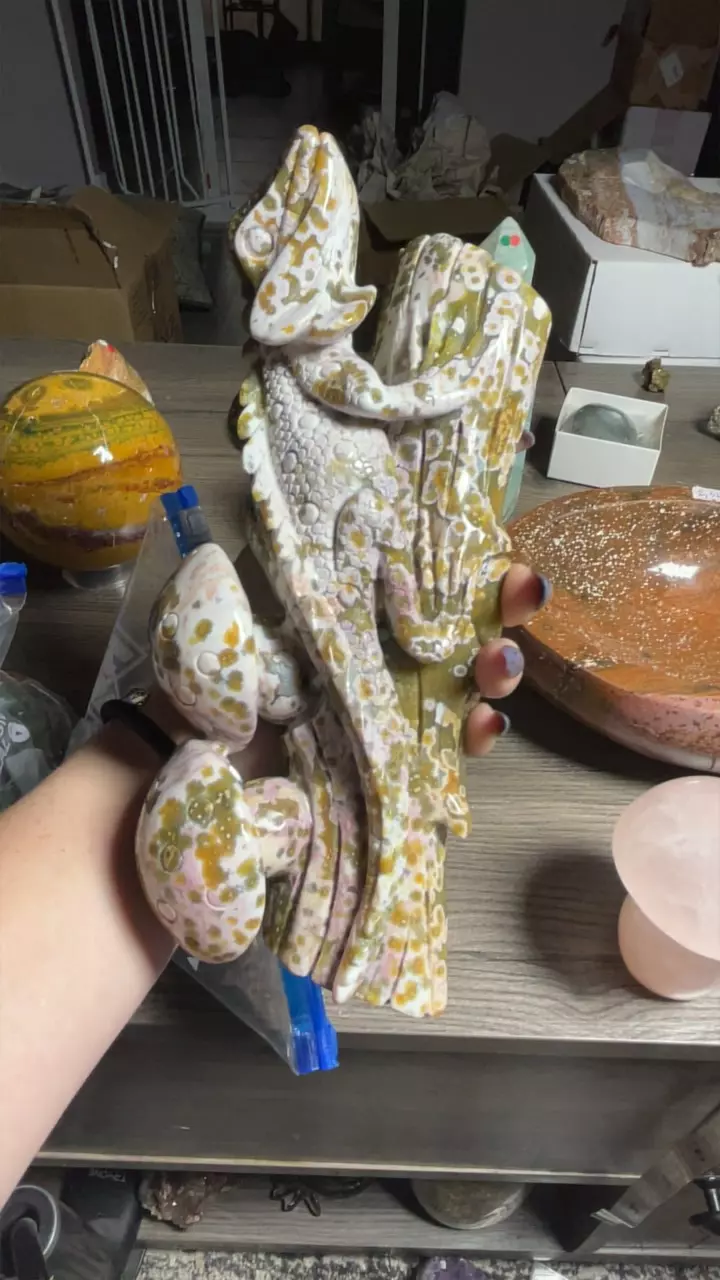 plant/2nd Vein Jelly OJ Frilled lizard-1