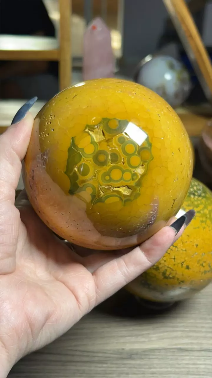 plant/Kabamby OJ Sphere-0