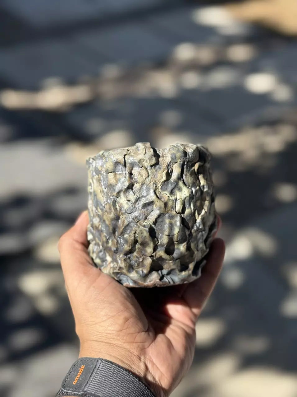 plant/Mutant 3.75x3.75-0