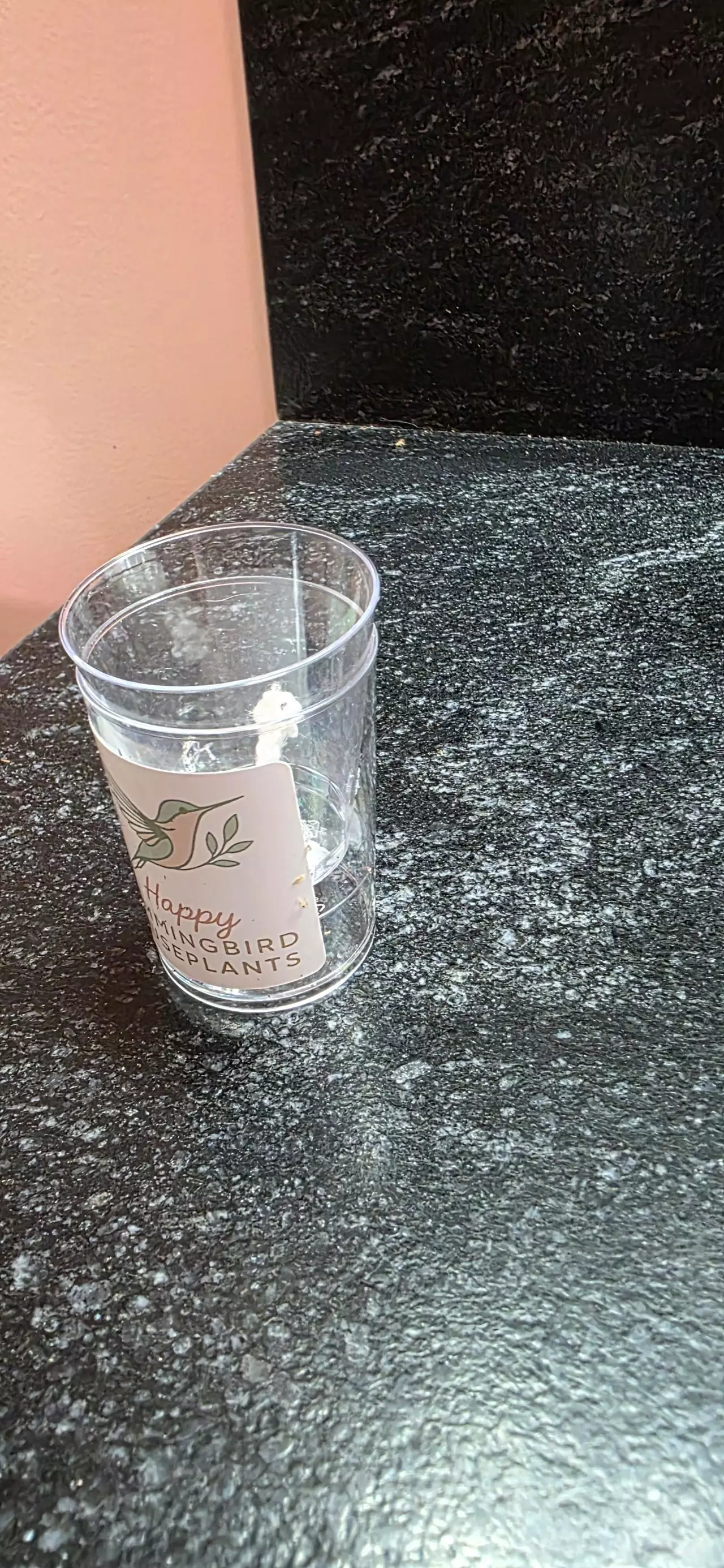 plant/self watering pup cup.-0