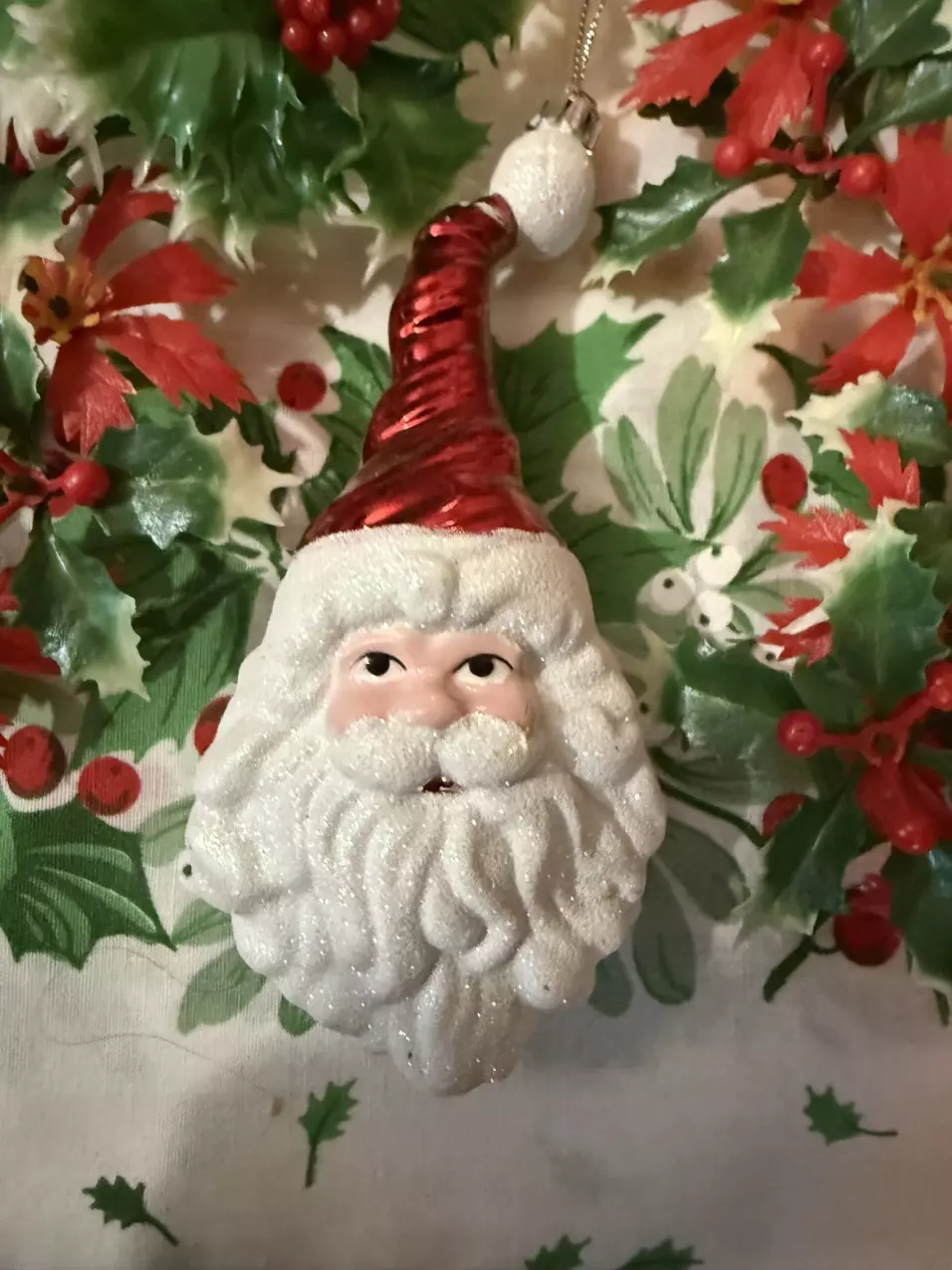 plant/Glass Santa Ornament-0